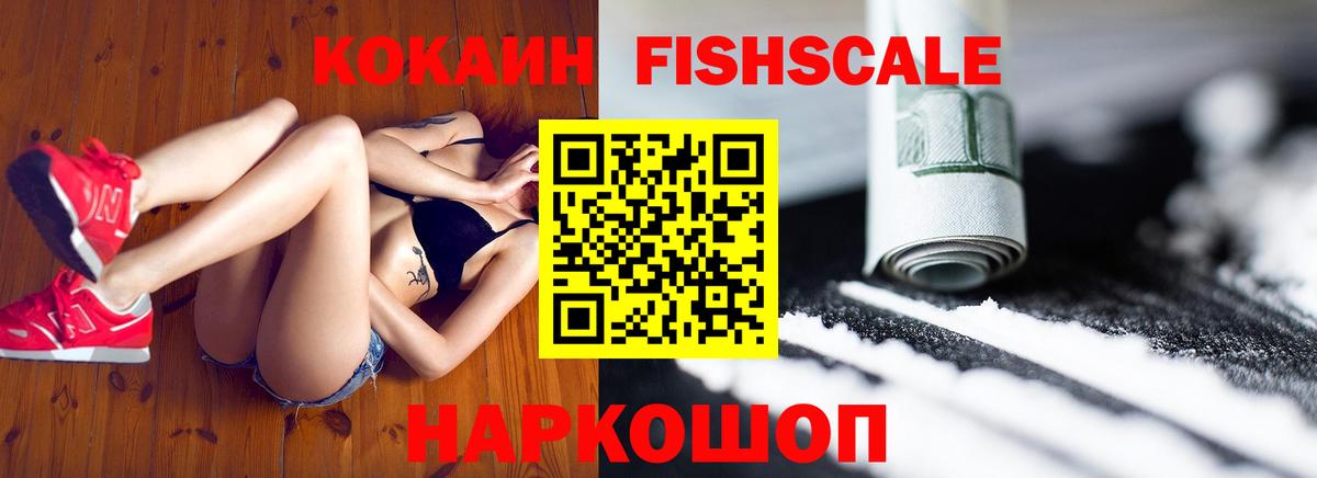 Cocaine Fish Scale  Вход с VPN  Советск 