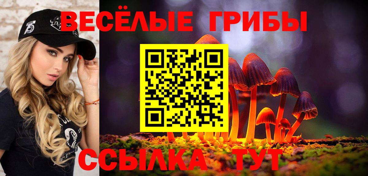 даркнет сайт  Вход с VPN  Советск  Псилоцибиновые грибы Psilocybine cubensis 